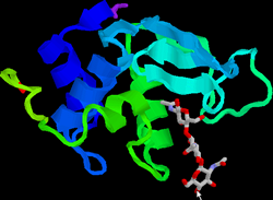 biochemische molecule